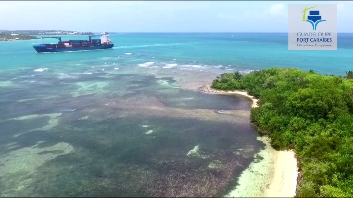 PortGuadeloupe's tweet photo. Vous pouvez dès à présent visionner l'épisode n°2 de 
"L'épopée de Guadeloupe Port Caraïbes" sur notre site web : https://t.co/iGm4vibQeR #Guadeloupe #Environnement #Cayoli 🌎✅ https://t.co/cQ7Cg4AU6x