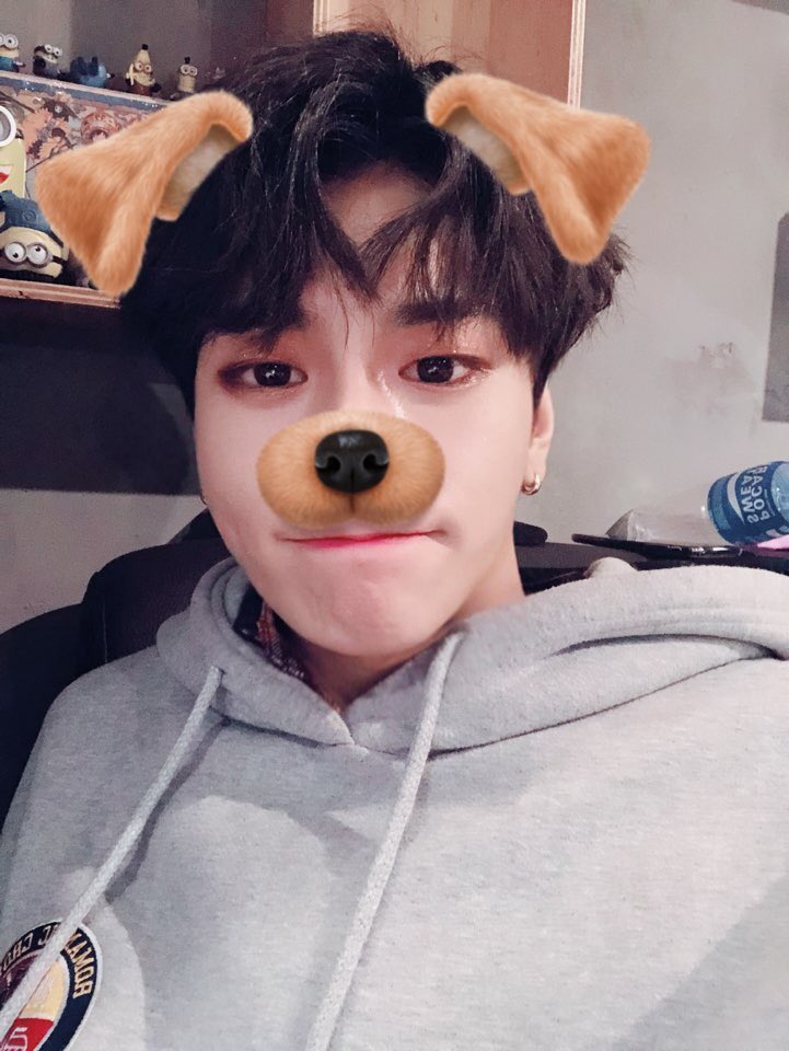 JBJtwt787's tweet photo. [#김상균😲] 오늘 제가 조이풀에게 바친 꽃 잘 받았어요 ? 망무앙? https://t.co/3upRxm7vc5