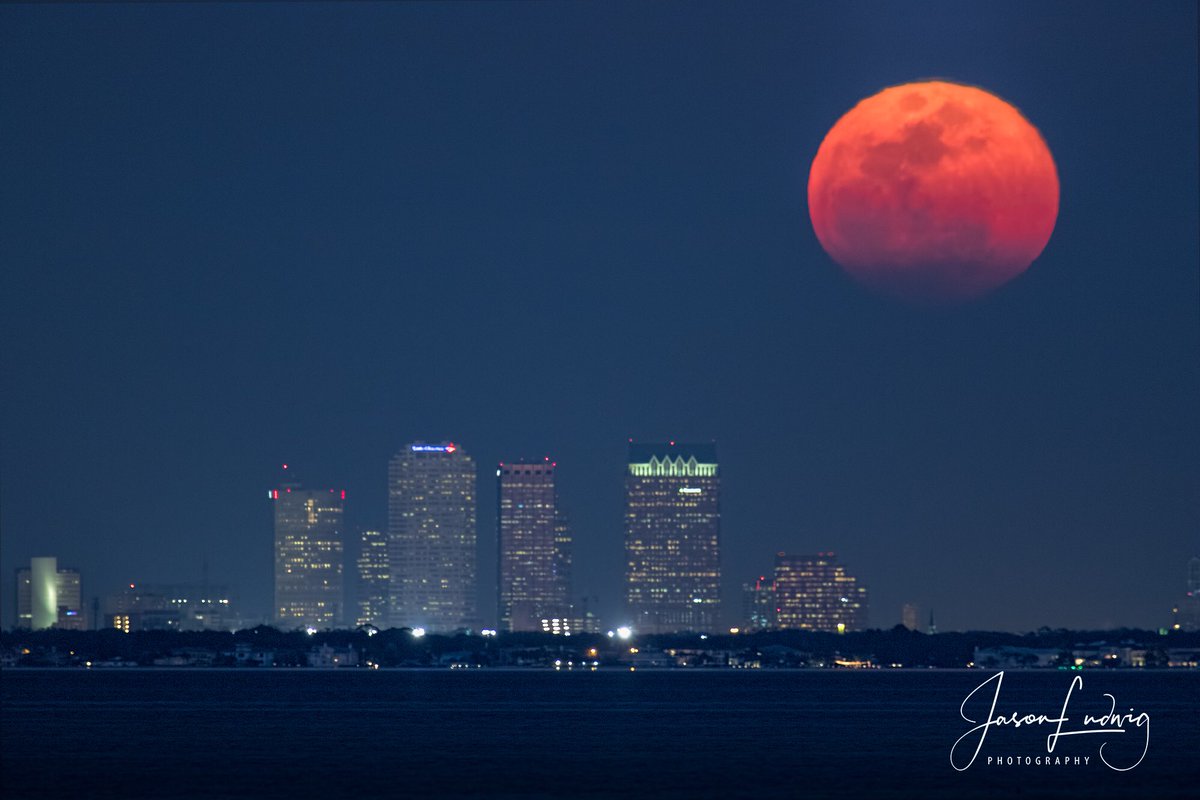 FreewayPhoto's tweet image. Moon rise last evening over downtown Tampa. #Florida #Stormhour #supermoon @PaulFox13 @mcclureWX @yourtake @VisitTampaBay @CityofTampa