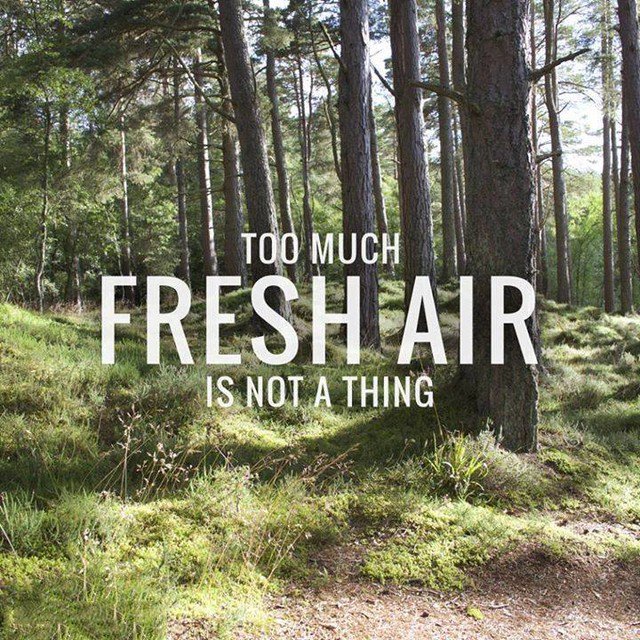 hikingfeeder's tweet photo. So true! #hiking #hike #air #Mountains #fresh #free #adventure #outdoors #WinterSolstice #forest #gymmembership #ItsAllYours https://t.co/MUeuOFm39d