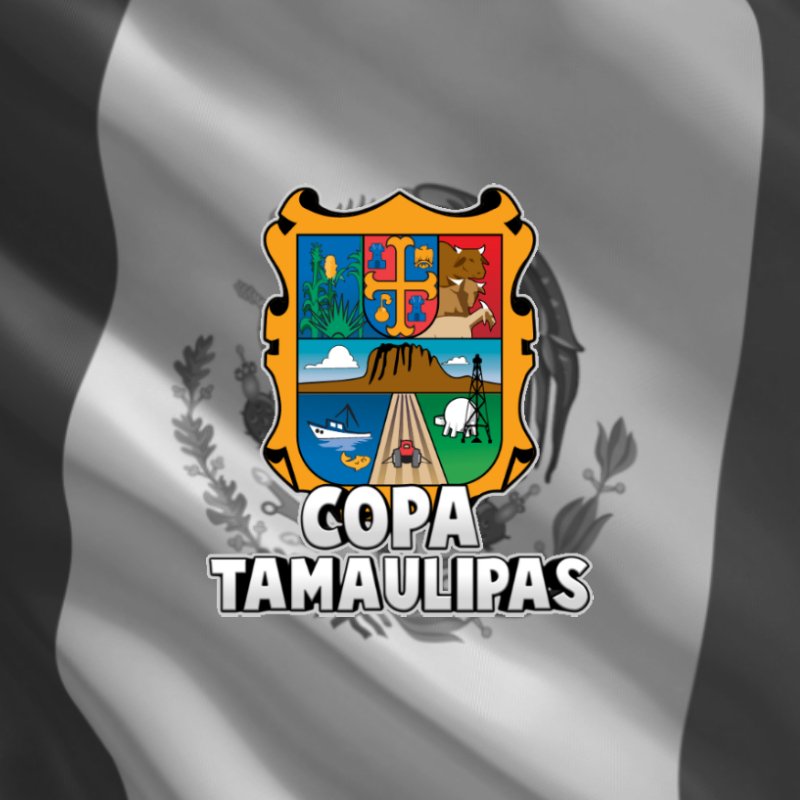 CopaTamps1CR's tweet photo. Gracias por el logo a @Fausto8_cr , empiezan los preparativos para la copa https://t.co/gpgvp79OAy