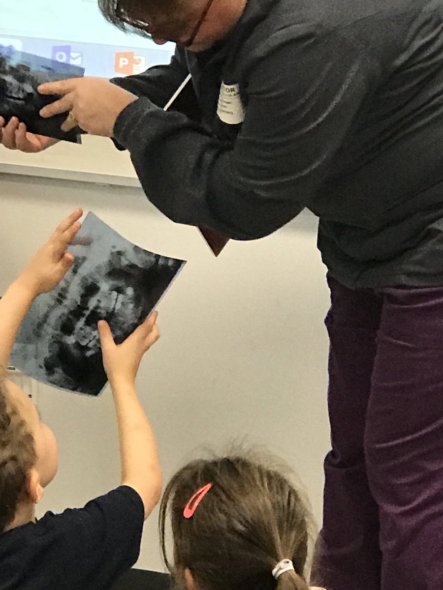 DeniseScaccia's tweet photo. Kindergarten is starting Dental Health month with a presentation from Dr. Christy Hefner’s office.@oceeotters https://t.co/JjNwGIsv7A