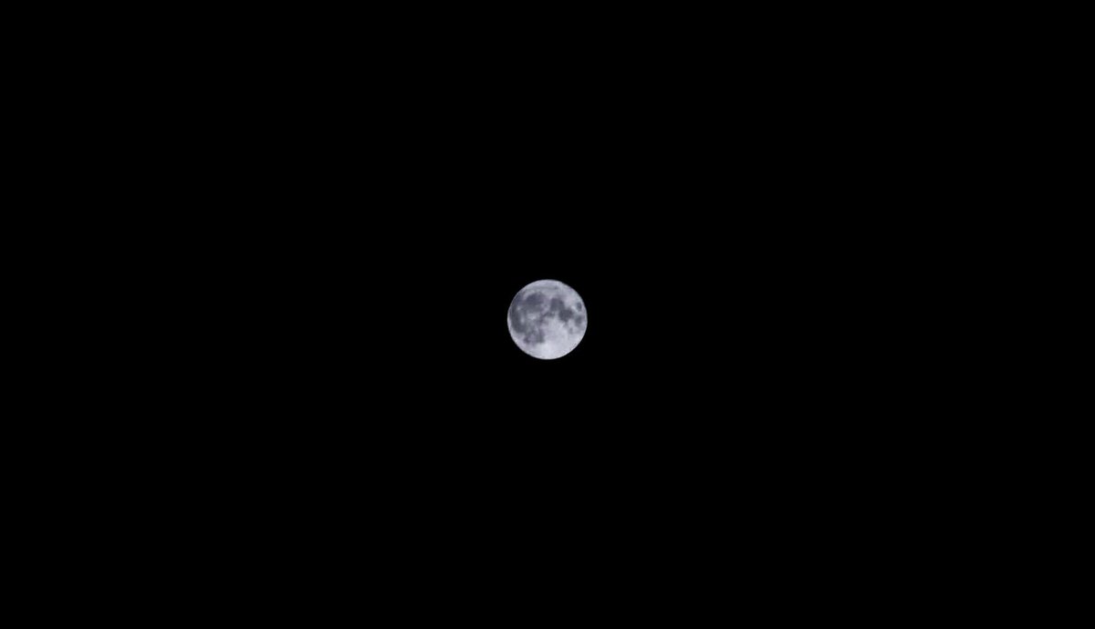 M_haenim's tweet photo. #정해인_트친소
#핸친소

뭘 올려야 할지 모르겠으니까 매일 재탕하는 내 최애 짤이랑 내 최애 정우랑 제가 찍은 달 (대체)트찐인 저랑 ! 친구 해주세요! 이 글에 멘션 달거나 흔적 남겨주시면 찾아갈게요•••  어흐흑 이참에 메인트 보고 포카도 많이 사주시고,,, (?? https://t.co/h3uPM7xOrA