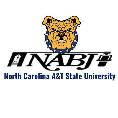 KingBucci_'s tweet photo. I got invited to the National Association of Black Journalists Short Course! It’s Lit ! 
#Nabj #ncat18 #aabj #georgiastate #gsu #state #atlanta #atl #gastate #journalism #gstv #gsutv #primetimesports #bucci https://t.co/yaXaCiA9RN