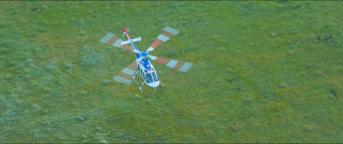 Jared Hail tweet media