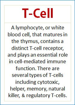 Info4PI's tweet photo. Do you know the difference between a T-cell and a B-cell..?
#JMF #info4pi #PrimaryImmunodeficiency #Tcell #Bcell https://t.co/3ug1s6wJTx