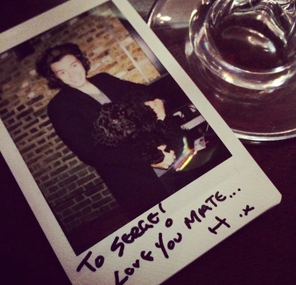 Trekstock Cancer Support tweet media