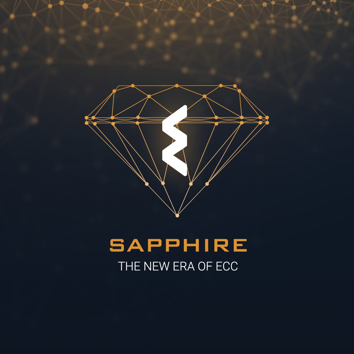 project_ecc's tweet image. Just to give you an update. SAPPHIRE and ANS are in the final phase BEFORE testing. #ECC $ECC #ECCfamily