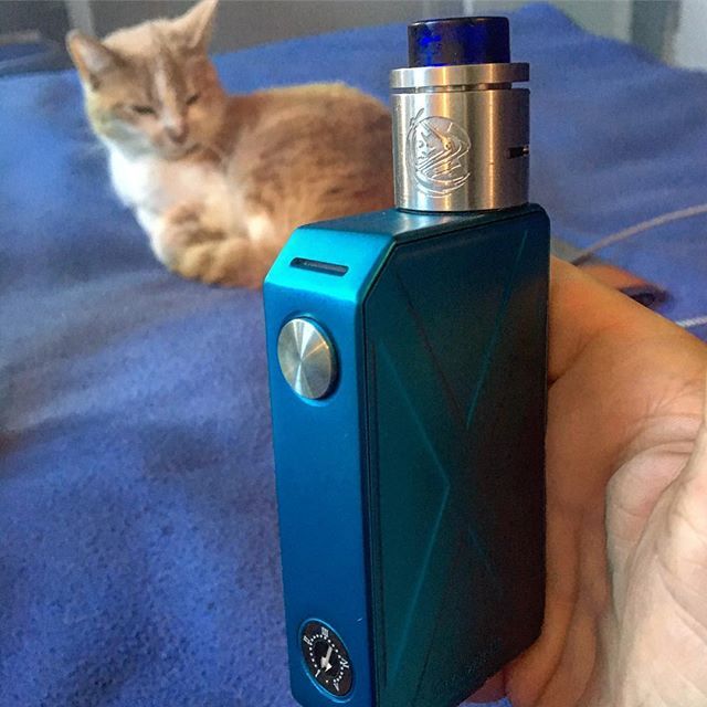 EmmanuelDOCQUIN's tweet photo. New baby !
#invader3 #teslacigs #cosmonautrda #csmnt #csmntrda
Et #LePetitChat qui n’est pas impressionnée. https://t.co/rNAZlESkN1 https://t.co/eRHUWkOBbP