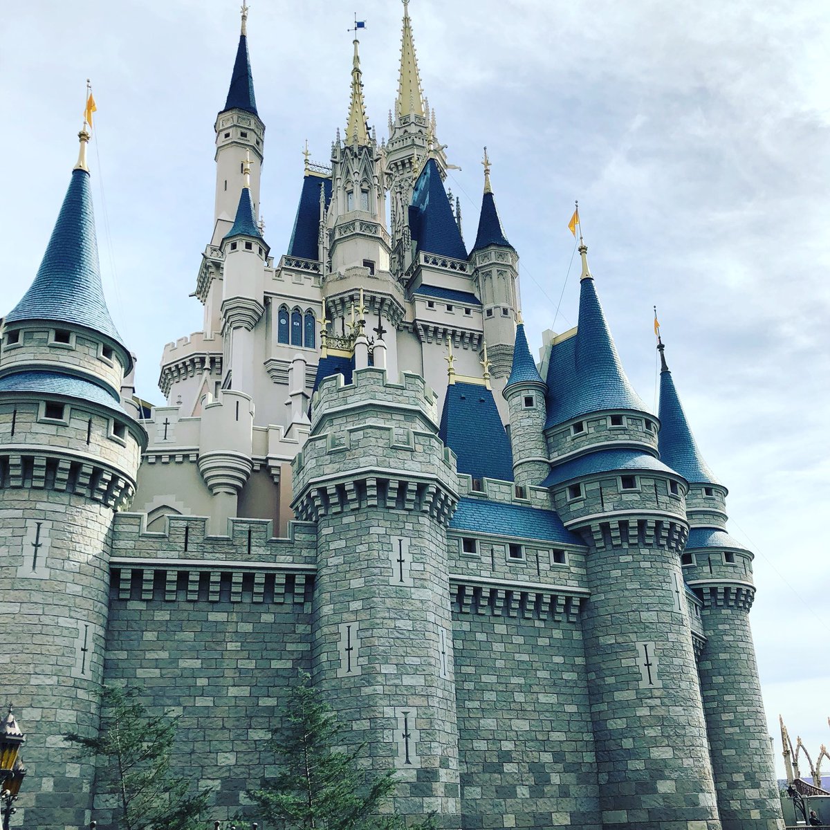 jenna_haynam's tweet photo. Castles.. Castles everywhere,this is my kinda place #WaltDisneyWorld #cinderellacastle #beastcastle #nevergrowup #disneygirl https://t.co/plAZveN5AU