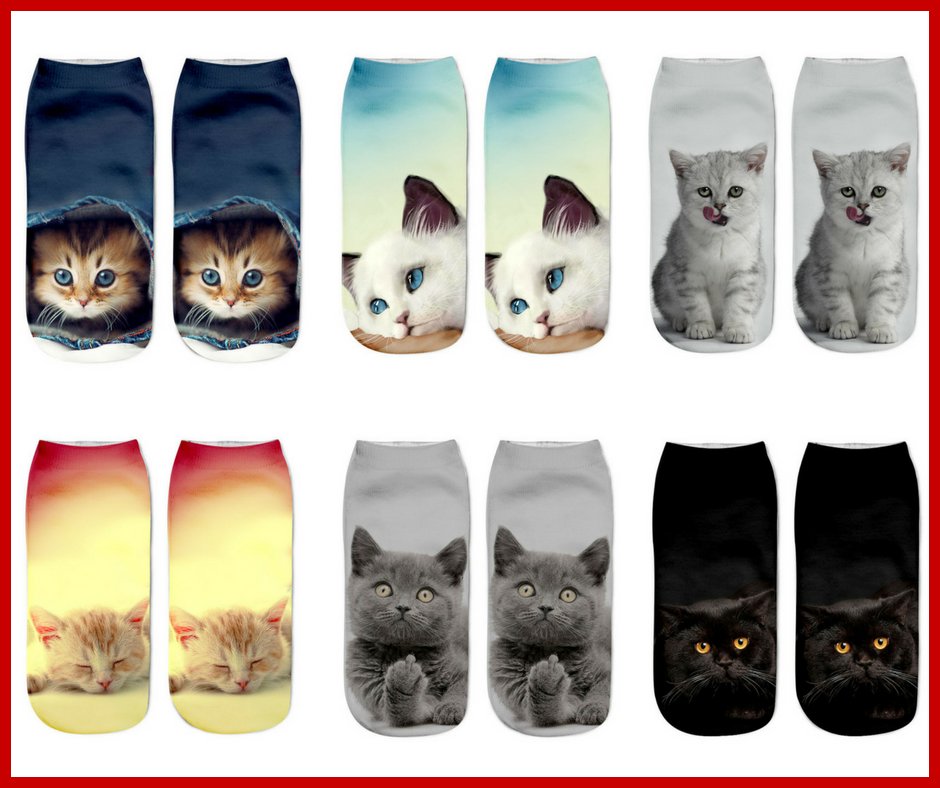 MuntePets's tweet image. These are the cutest socks ever 😍😍😍
similarpoint.com/kittens

#cat #cats #catlovers #catlove #cutecat #cuteness #cutenessoverload #kitty #kitten #kittens #cutekittens #catsoftwitter