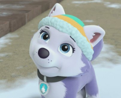 everest snow plow paw patrol