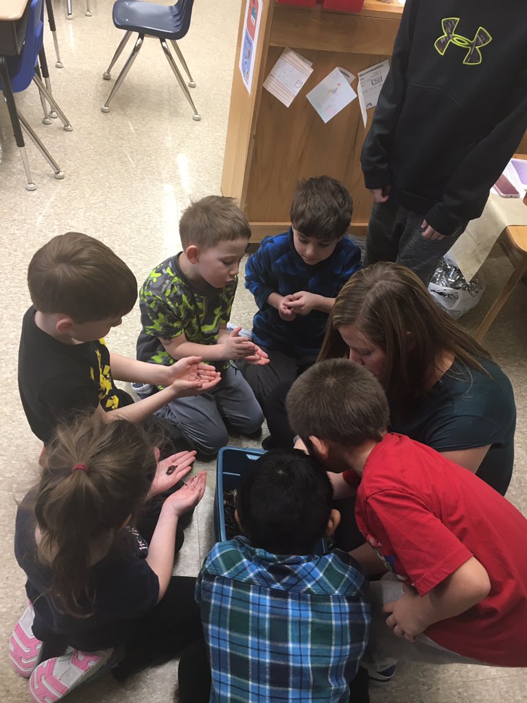 HASlearns's tweet photo. Learning all about worms with @jenkruse19 Composting and growing worms #worminquiry #HASInquiry #SNCDSB https://t.co/MXAamh26fe