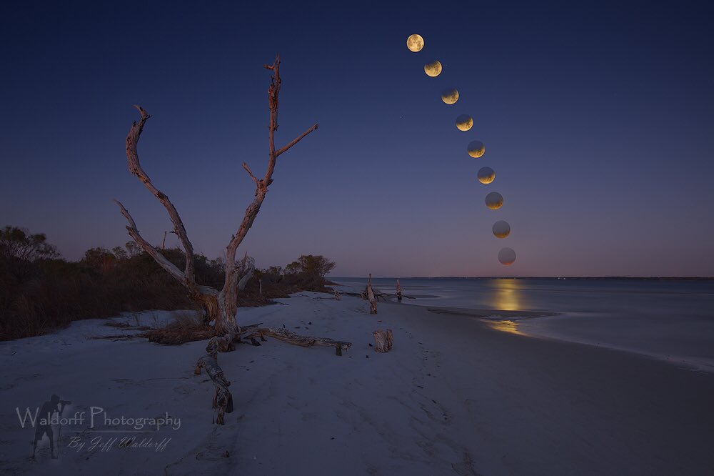 WaldorffPhoto's tweet photo. "Moon Landing"
I did not expect to be able to see the lunar eclipse very well yesterday morning. https://t.co/obRBCC4m6U