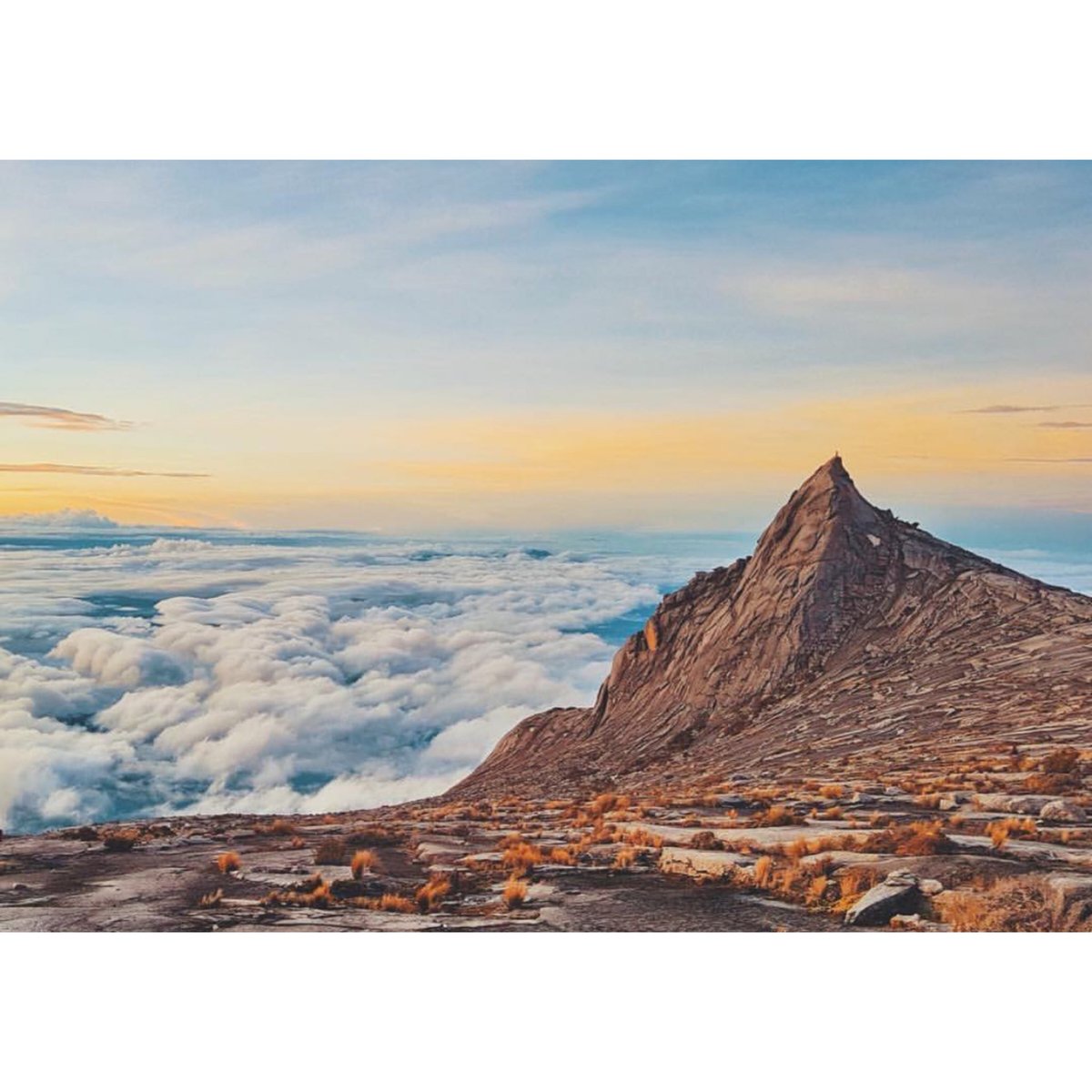 Borneo Holidays tweet media