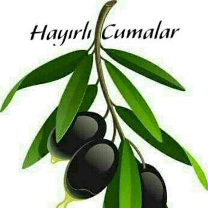 Ömer Baba Şifahanesi tweet media