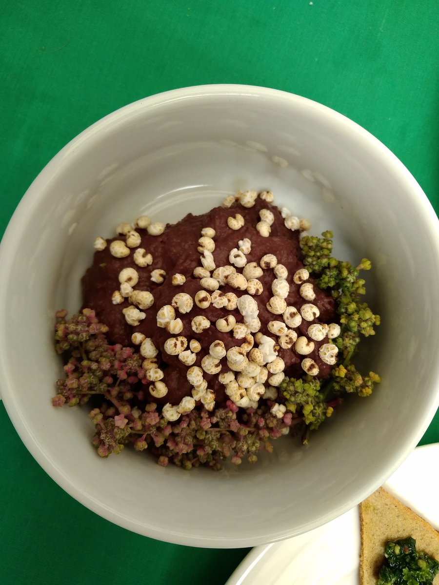 QuinoaLab's tweet photo. Terminamos interesante encuentro en Huerto San Francisco del Campus San Joaqu��n UC para conocer la #quinoa chilena "desde el campo hasta la mesa". Gracias a tod@s quienes participaron! https://t.co/wfYcjLH5Q6