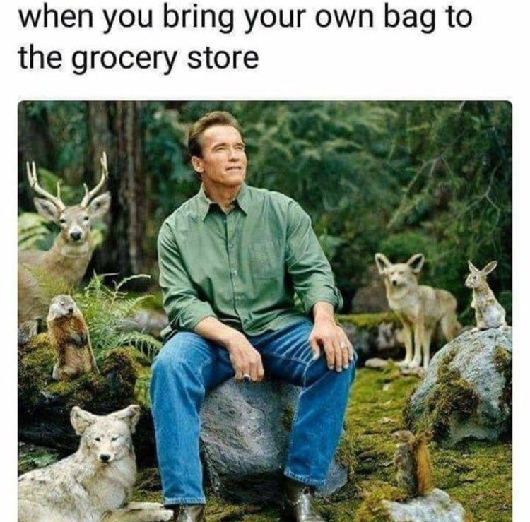 Vegan Problems tweet media