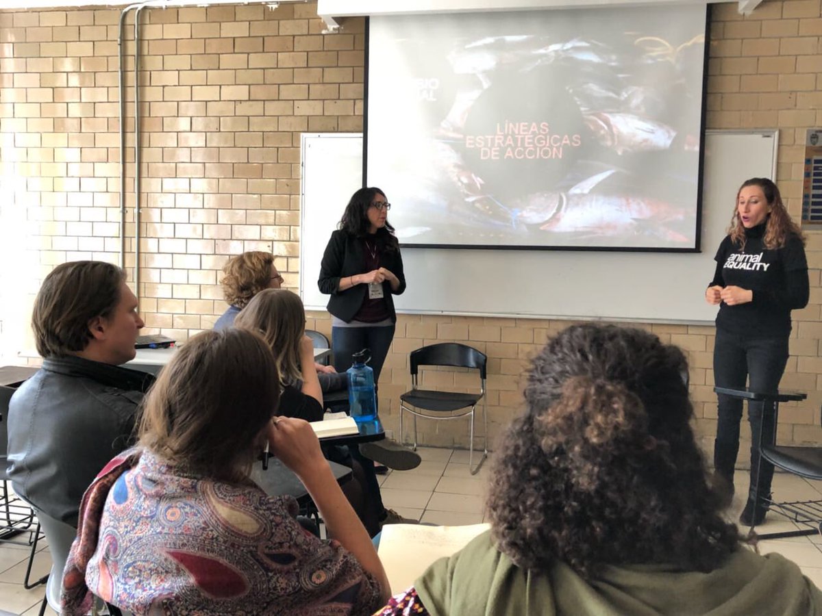 IA_Mexico's tweet photo. #Enestemomento @sinletrad en charla en el #mindinganimals hablando sobre el poder de las investigaciones. https://t.co/XwUYaEJwVh