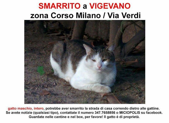 matteornati (@matteornati) on Twitter photo 