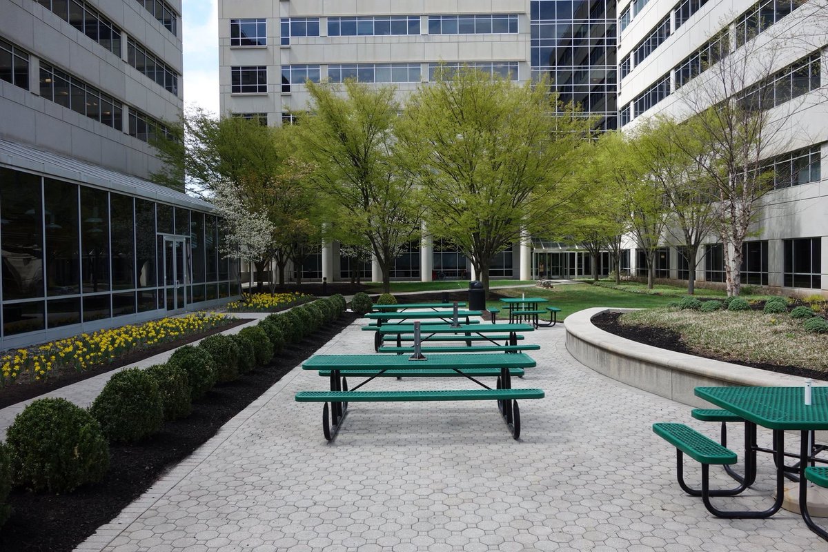 PrimeBuilds's tweet image. Here’s some commercial paver work done by @PrimeBuilds #PrimeConstruction #PrimeBuilds #PrimeConstructionRemodeling #ExcellenceIsAHabit #ThisIsOurWork