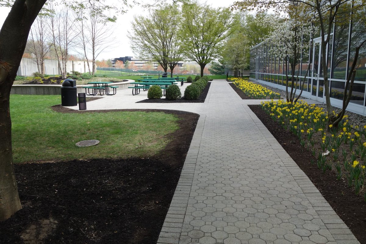 PrimeBuilds's tweet image. Here’s some commercial paver work done by @PrimeBuilds #PrimeConstruction #PrimeBuilds #PrimeConstructionRemodeling #ExcellenceIsAHabit #ThisIsOurWork