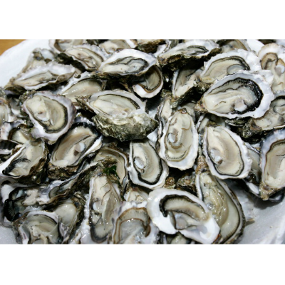 OffTheHookNSB's tweet photo. Oyster Happy Hour until 7:00 pm! $9.00 a dozen. #oysterhappyhour #offthehooknsb https://t.co/gnVss5tJoZ