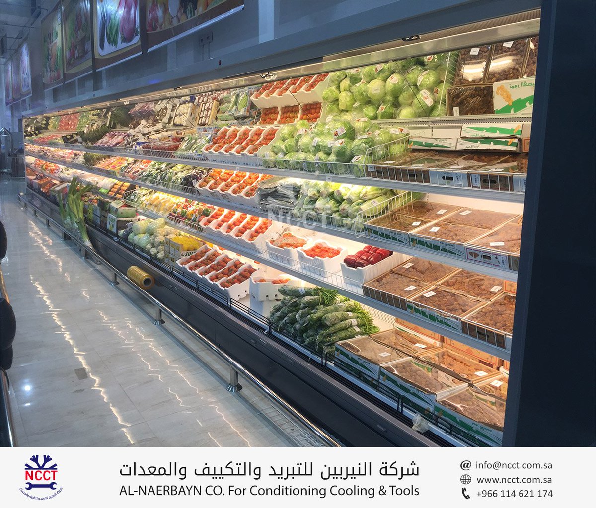 رحلة توضيح مجس نبات ثلاجة عرض خضار Oneteamallgreen Com