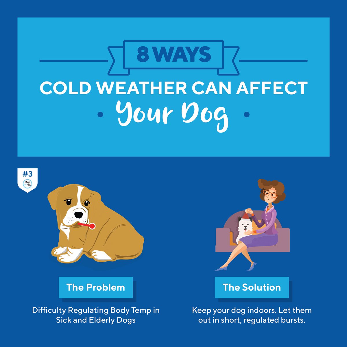TopDogHealth's tweet image. Day 3 #Cold #Weather #Facts: Low body temperature can affect your dog’s bodily functions in many ways such as regulating their body temperature. 
Check out our blog for the #solution. bit.ly/2loFjzs