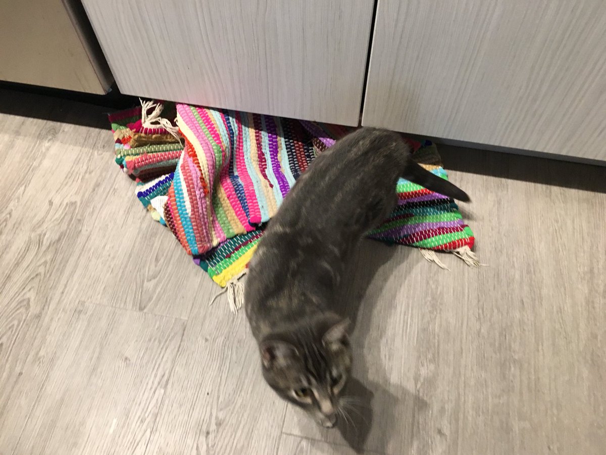 j44dge's tweet photo. This is my new buddy #Saskatoon https://t.co/Ww7z45Ogcq
