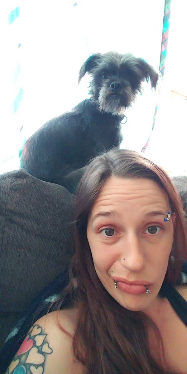 CrissySaunders's tweet photo. Me and Loki, freaking love this dog! https://t.co/ZExrzPy8CR
