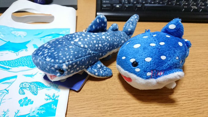美ら海水族館のオススメお土産大特集 人気のストラップやぬいぐるみも Travel Star