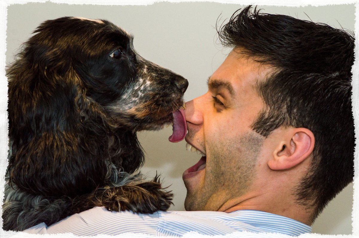 FinchleyVet's tweet photo. Our #values! We just #love #animals 🐶🐱🐭🐹🐰

We will always:
Keep our love for animals and those people who care for them paramount and the centre of everything that we do. https://t.co/lLMP7pwp5b https://t.co/c4aATqPX3J