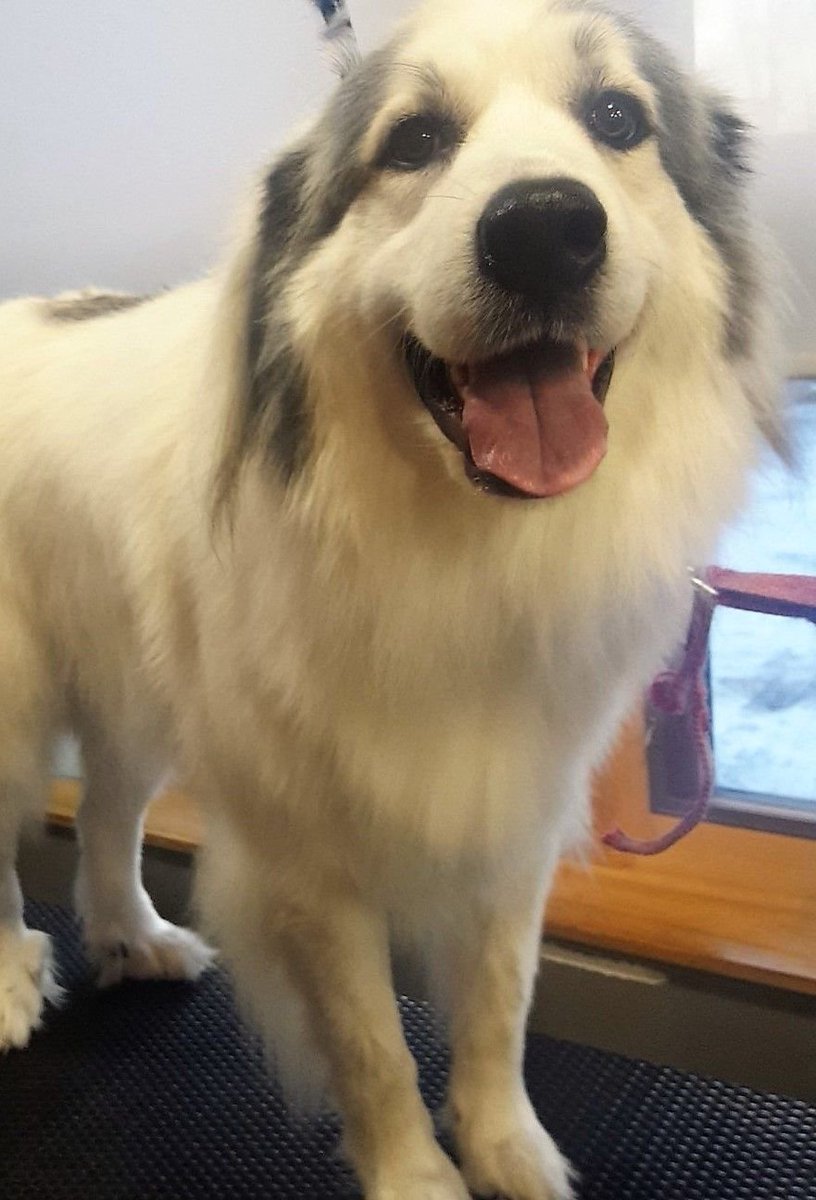 Happy Saturday! If you get messy in the mud today, spray off your pup - and your boots - at Ollu.