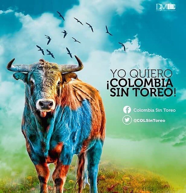 jairovargasf's tweet photo. No al toreo.#noaltoreo #noalascorridasdetoros #NoAlMaltratoAnimal #respetoalosanimales #defensordelosanimales 😉👆 https://t.co/uwfS1KCXSW