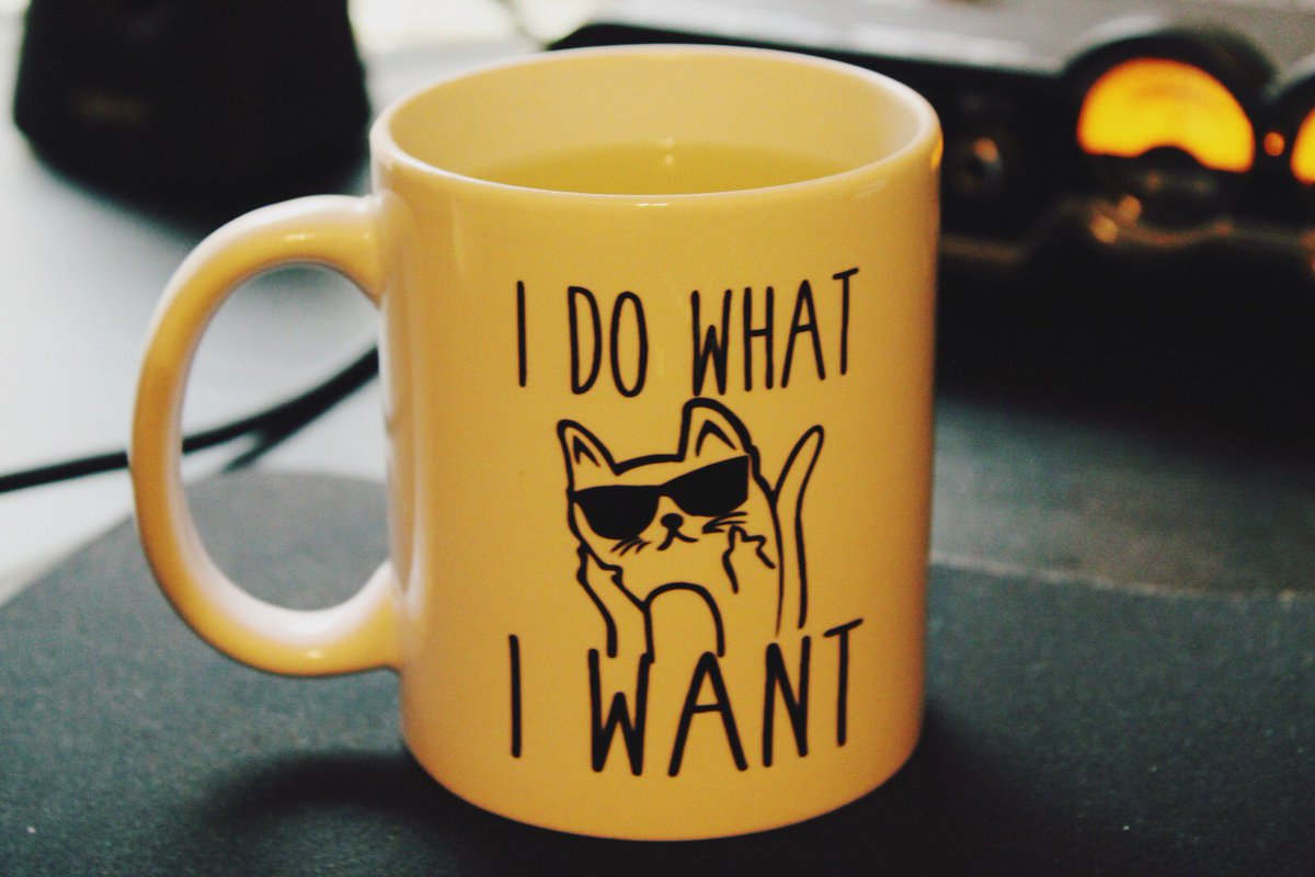 littlesiha's tweet photo. Good morning! 

Let’s get shit done today. 😼 https://t.co/JpFjA1e8x9