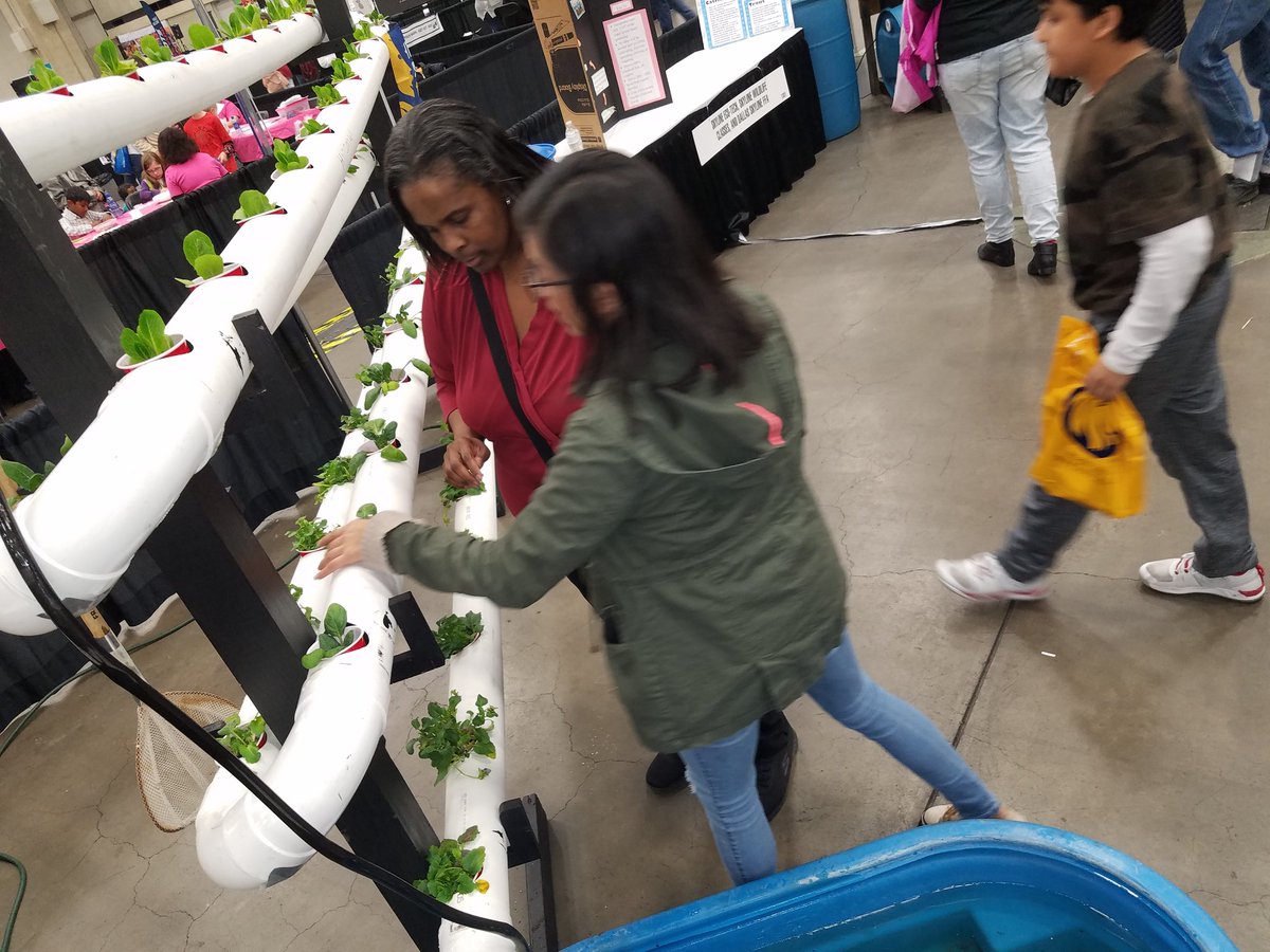 Morgansmathlete's tweet photo. #dallasisd #disdstem @Skyline_Library @Skyline_Floral @NAFAOITSkyline @skylineaoe @PrincipalSky https://t.co/e4W2dcnktz
