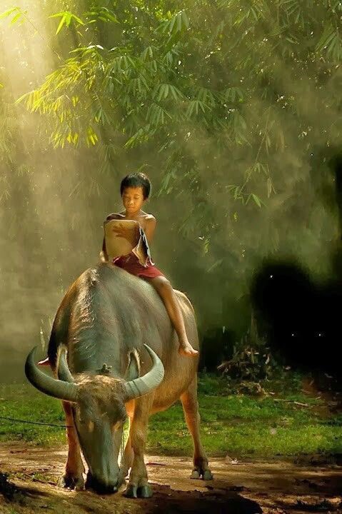 Hamworldo's tweet photo. No patent Can give his/her child anything better than good manners. Athirmidi. https://t.co/EBAc4K1Hia