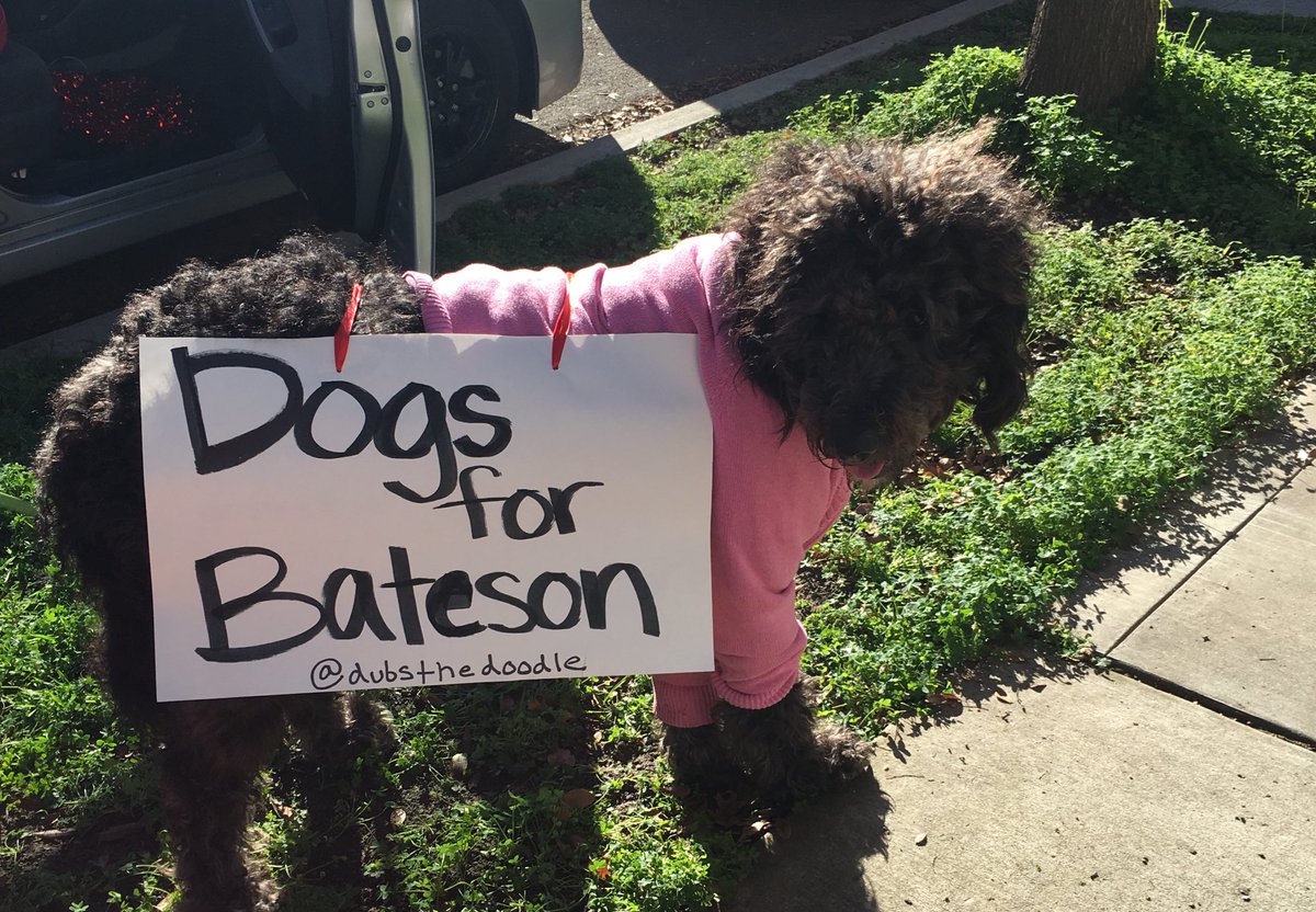 JuliaSween's tweet photo. We are all ready for todayβs #WomenMarch2018 - even Dublin the Doodle πΆπΊπΈ #MarchingWithBateson #TeamBateson #CA04 https://t.co/IjMXzFRcdr