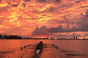 GoBarryBucs's tweet photo. .@BarryURow voted @row2k #PhotoOfYear in 2017. Thanks for the votes. #GoBarryBucs #MIA #Skyline #BucsOnFire https://t.co/jC4cV3OCM9