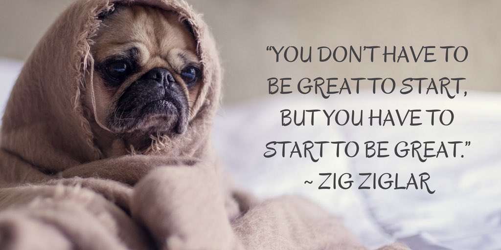 “You don’t have to be great to start, but you have to start to be great.” ~ Zig Ziglar
#Motivation #dogs #Mindset