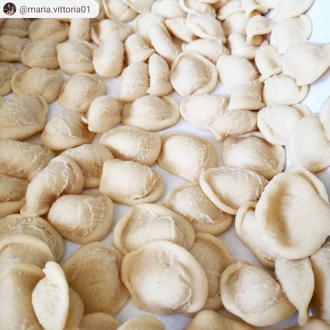 Info_iatAndrano's tweet photo. 'La vita è una combinazione di magia e pasta". F. Fellini.
#tradizioni #orecchiette #salento #nonna❤️ #food
#infopointandrano #WeAreinPuglia #pasta #fattoacasa https://t.co/kZBcEvpeV5