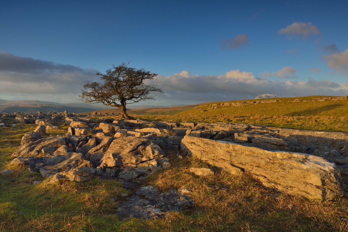 Sunset loner
Sunset at Winskill Stones with the golden hour light catching the lone hawthorn tree

#GoldenHour #YorkshireDales #WelcomeToYorkshire #NationalPark #Yorkshire #LimestonePavement #WinskillStones