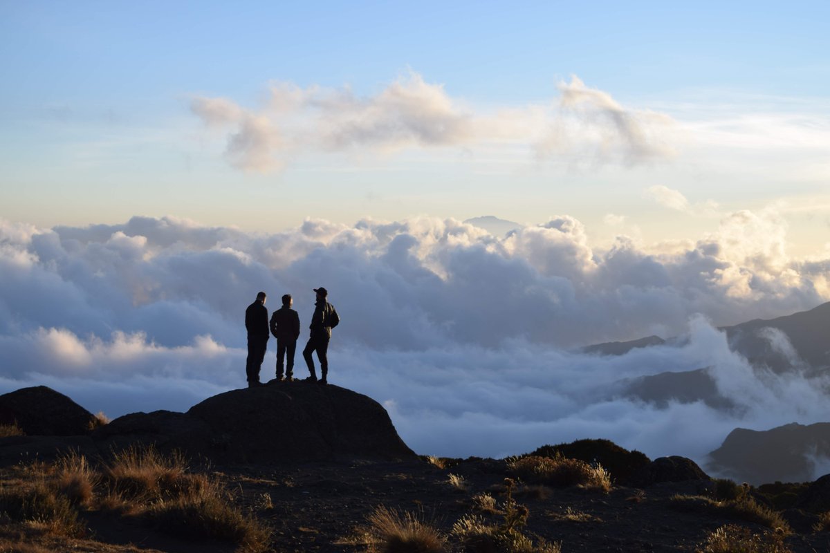 Childreach Int tweet media