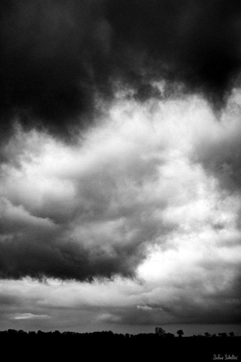 Zwei Stunden Spaziergang. Auf nassem Boden. Mit kalten Füßen. Mit Wind um die Nase. Und mit der Kamera in der Hand. #photography #documentary #neverstopexploring #outsideisfree #fujixe3 #zeiss35mm
