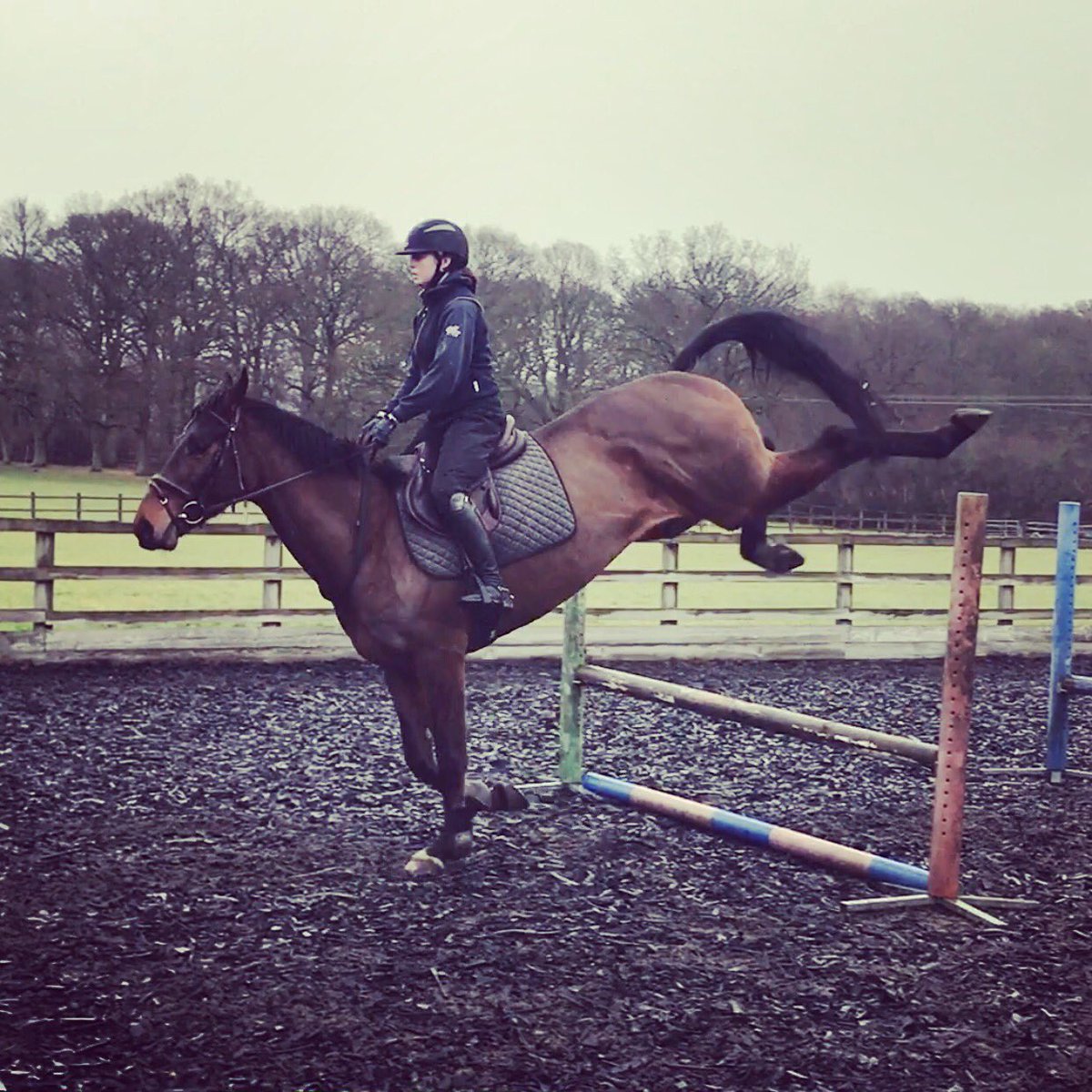 It's that time of the year where I'm permanently holding onto a neck strap! #eventers #youngsters #winter #cold