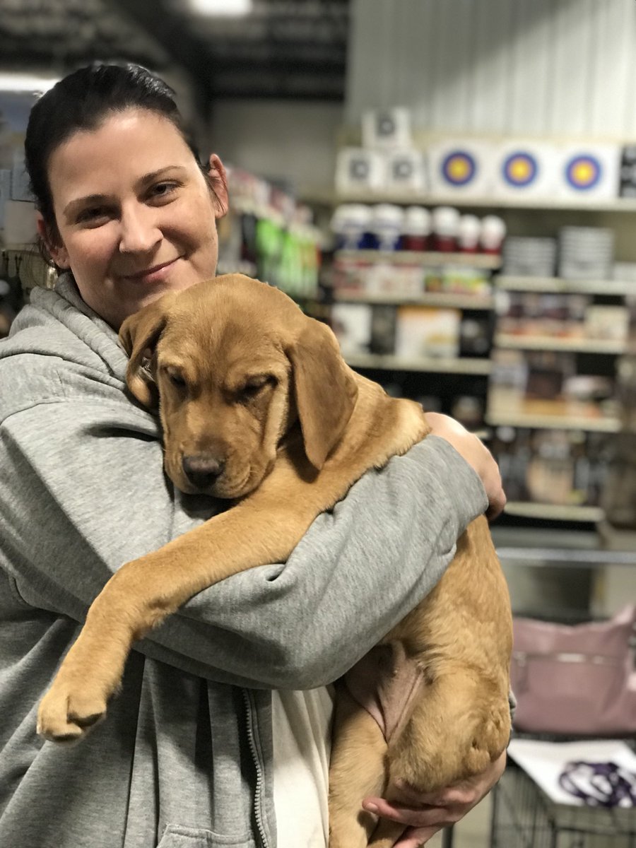 aaoresq's tweet photo. Adopted!!! Thank you so much two more left. https://t.co/e1t6FBE42f