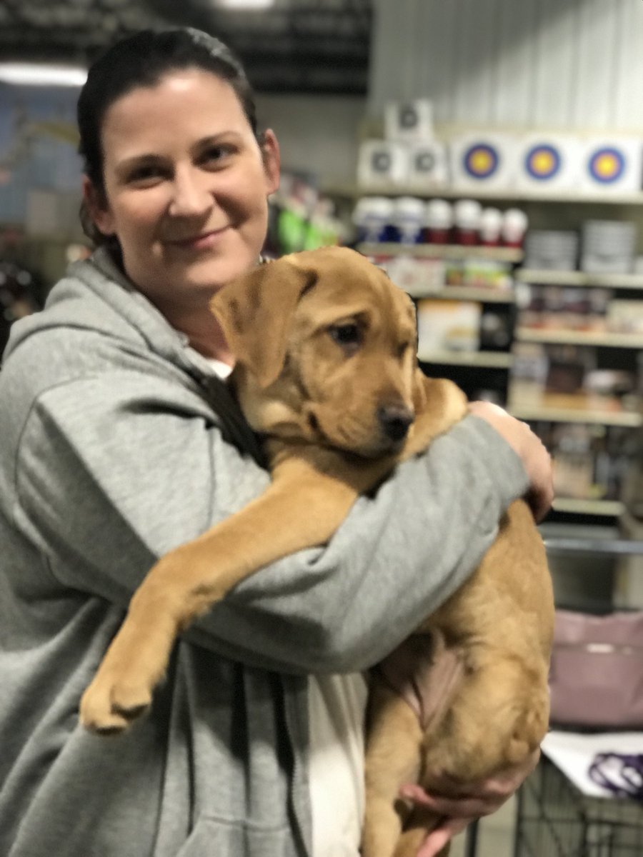 aaoresq's tweet photo. Adopted!!! Thank you so much two more left. https://t.co/e1t6FBE42f