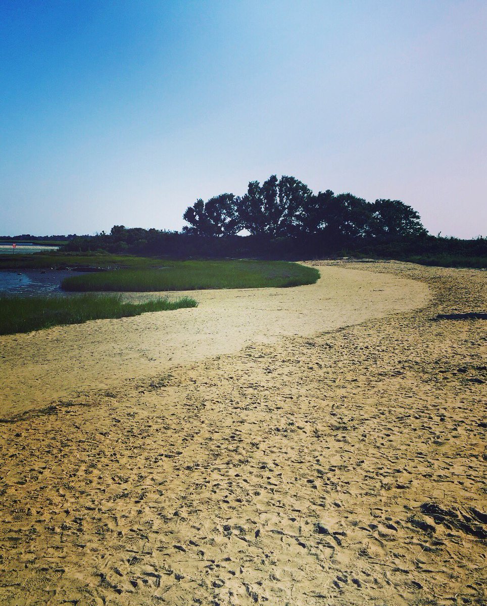 thecodt's tweet photo. Plank #9️⃣1️⃣5️⃣ #thecodt #graysbeachboardwalk #thecod #thecodlife #graysbeach #yarmouthcapecod #yarmouthma #beachlife #boardwalk #plank #countdowntosummer #thecodinsta https://t.co/zm7LtZo7Eb