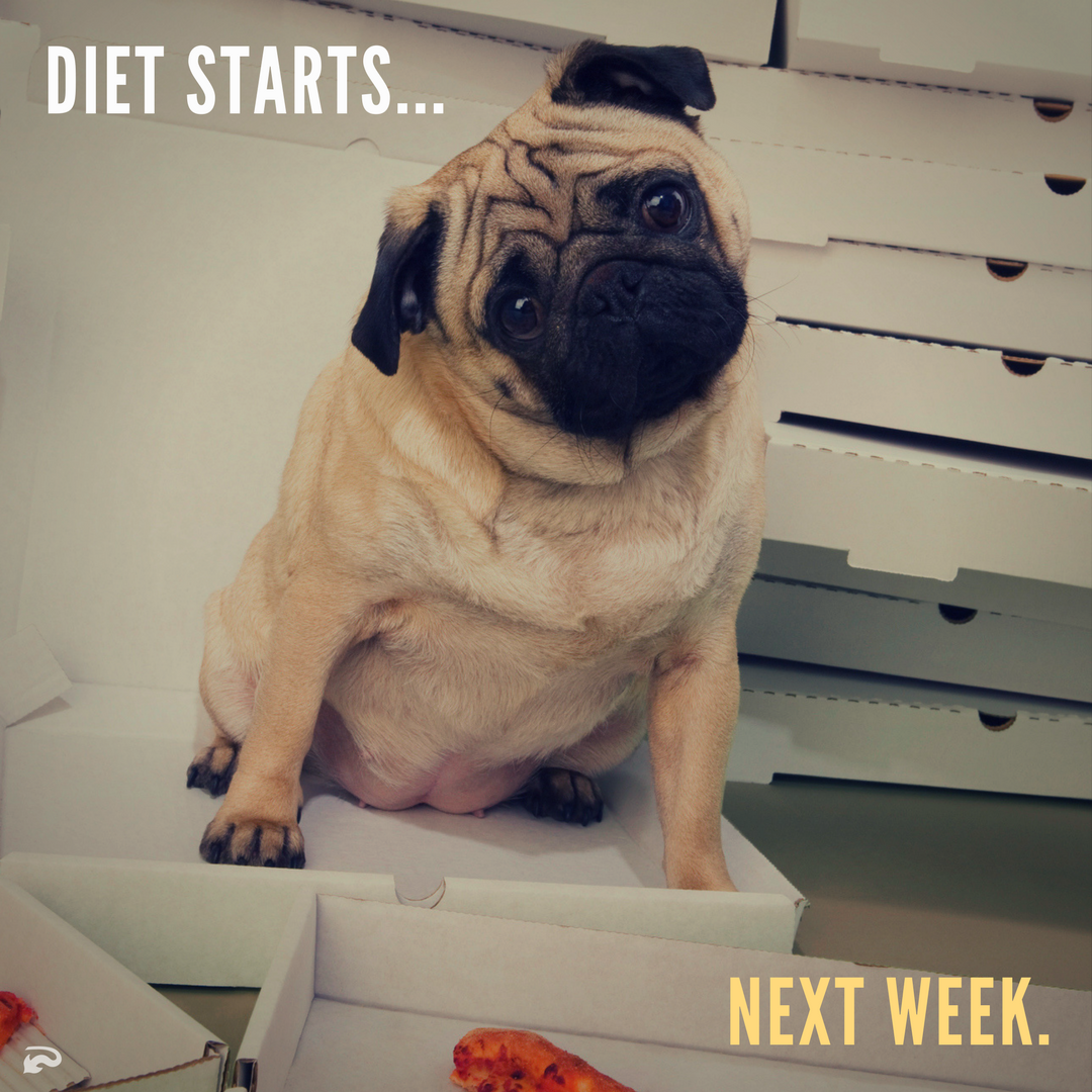 DirtDevil's tweet image. Snaccident (n): Eating an entire pizza, box of chocolates and  family size bag of chips by mistake. #ItHappens #ResolutionFail